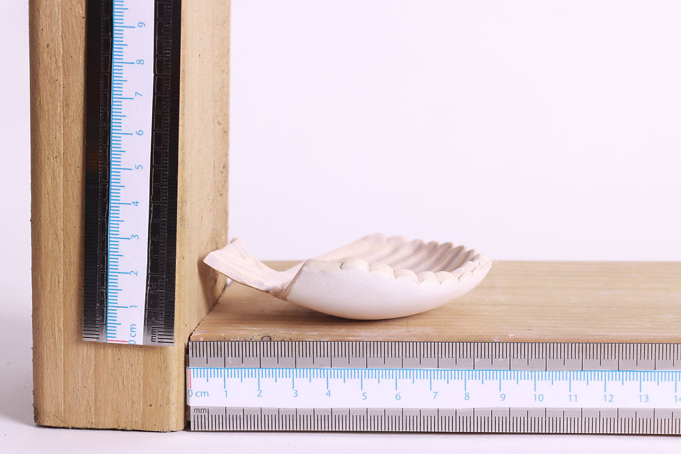 Thumbnail: Sea Shell Tea light holder / trinket dish