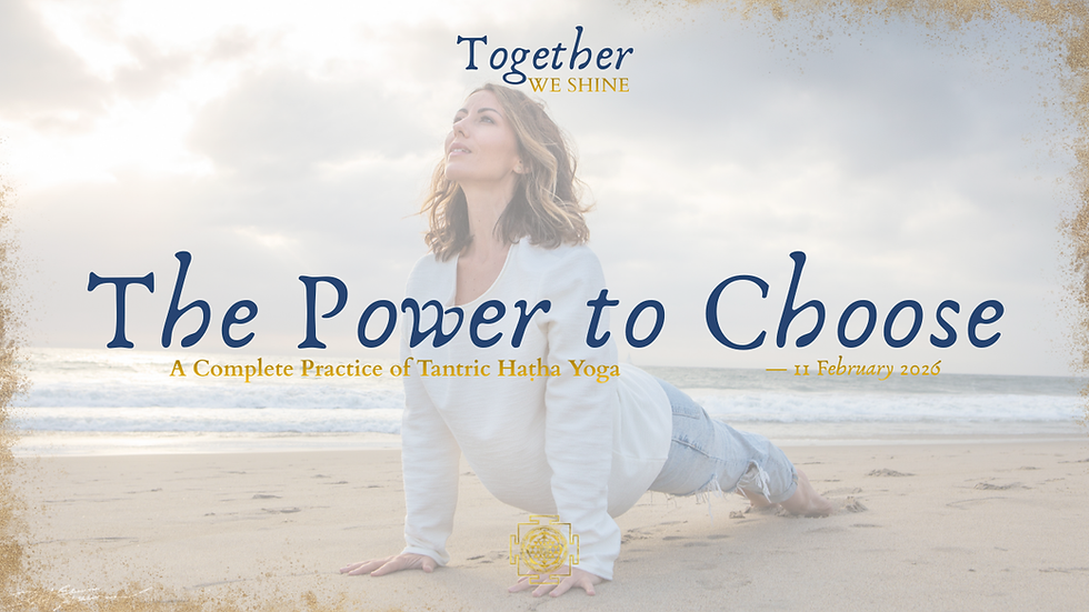 Together WE SHINE—The Power to Choose