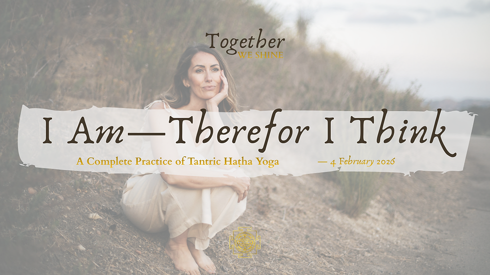 Together WE SHINE — I am, Therefor I Think