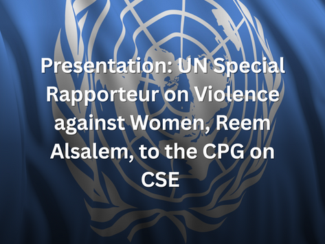 Presentation by Ms Reem Alsalem, United Nations Special Rapporteur on Violence against Women to the CPG on CSE Meeting:19th November 2024
