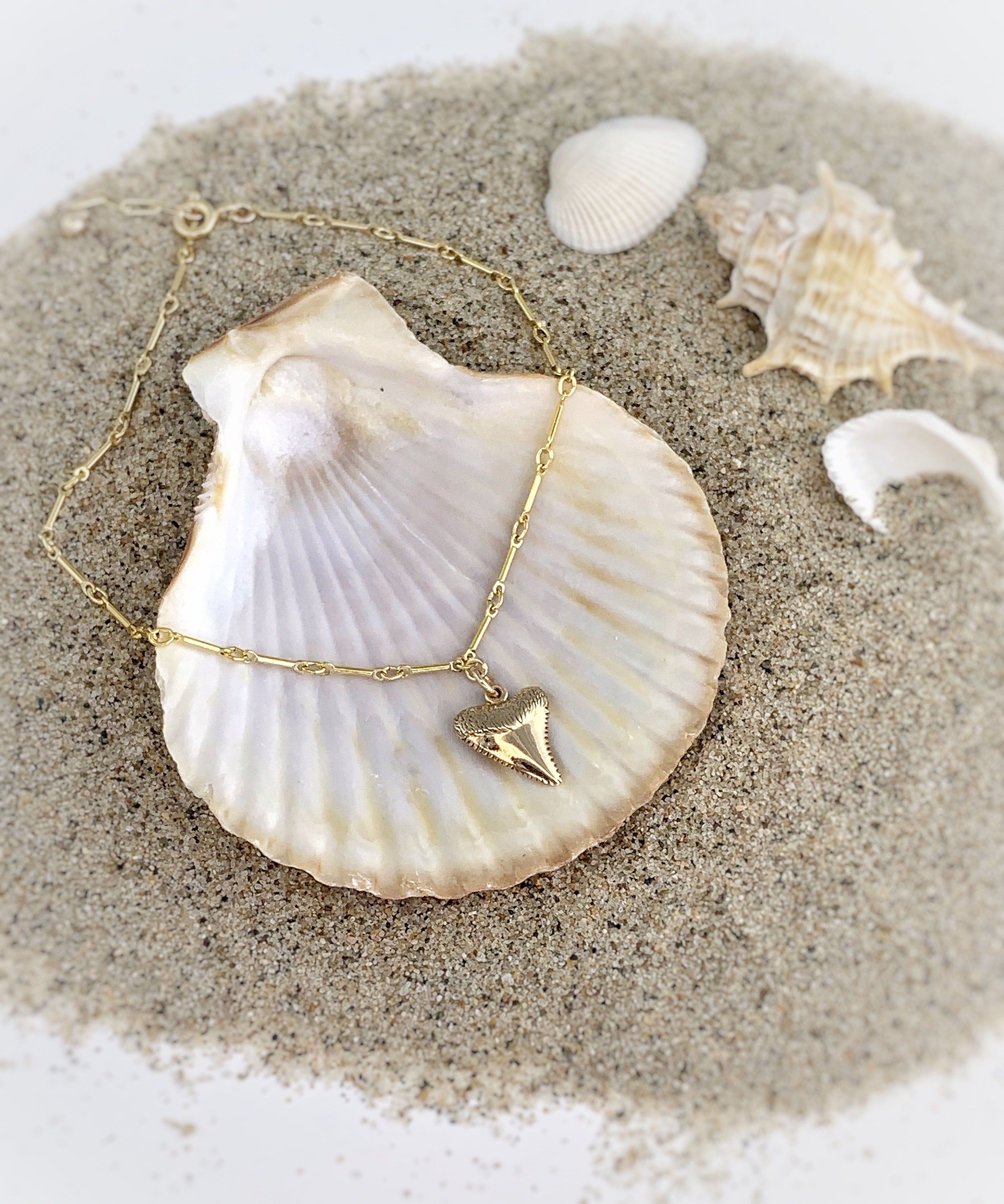 -SHARK TOOTH- Anklet