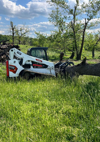skid steer with grapple picking up tree