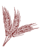 wheat-01.png