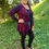 Thumbnail: C 341 Merlot Panel Back Cardigan