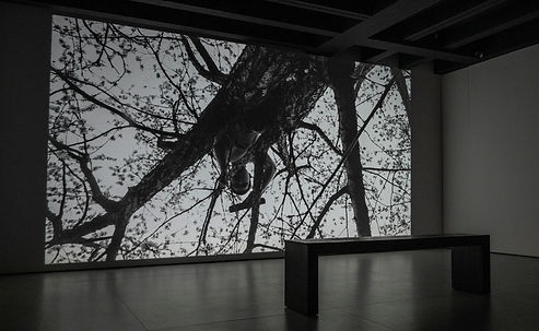 GaoYutao_install 6.jpg