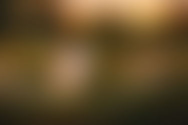 a pregnant couple standing in field during golden hour. the sun setting behind the trees in the distnace.