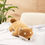 Thumbnail: Nemunemu Shiba Hug Pillow Plush Medium