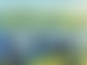 Solarpunk Aesthetics and Technology in Urban Farming: Cultivating the Future