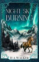 H.A Walker - Night Sky Burning.jpeg