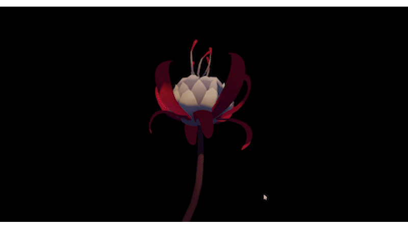 plant-growth-2.gif