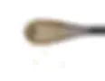 Pantene_Whisk_R5_Crop copy.webp