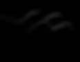 Taylor Guitar AEO Insta Color copy.webp