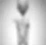 Bottle_Into_Glass_R4 2024 copy.webp