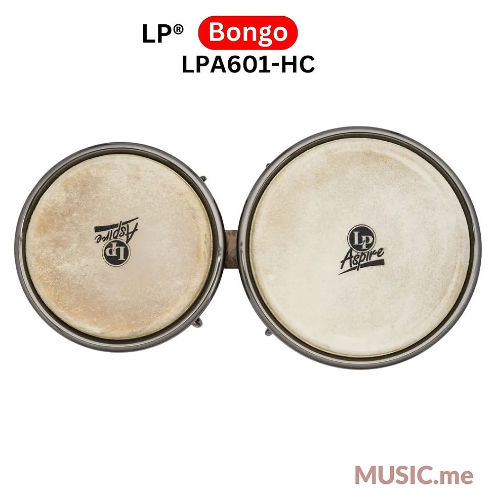 縮圖：LP® ASPIRE® BONGO HAVANA CAFÉ