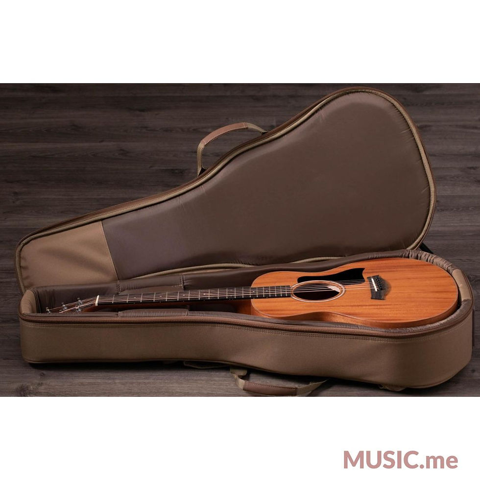 ภาพขนาดย่อ: TAYLOR GS MINI E MAH ES B [FREE BAG]