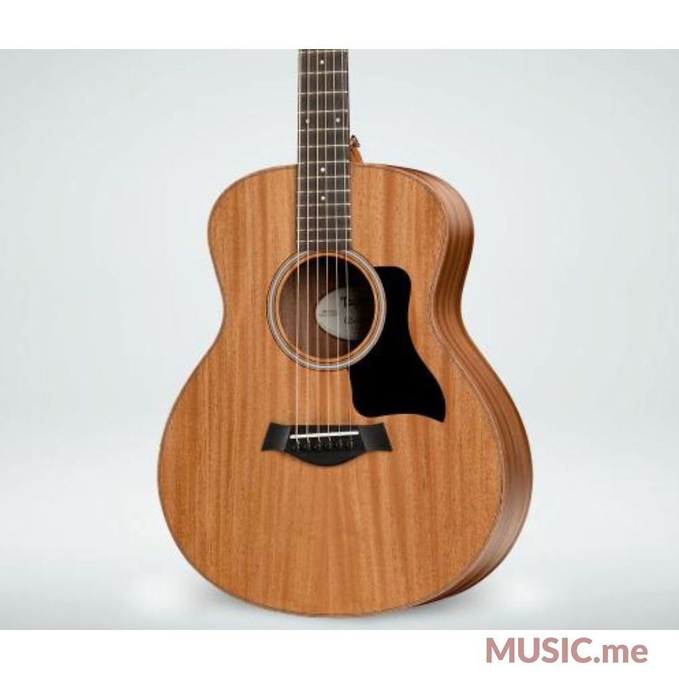 ภาพขนาดย่อ: TAYLOR GS MINI E MAH ES B [FREE BAG]