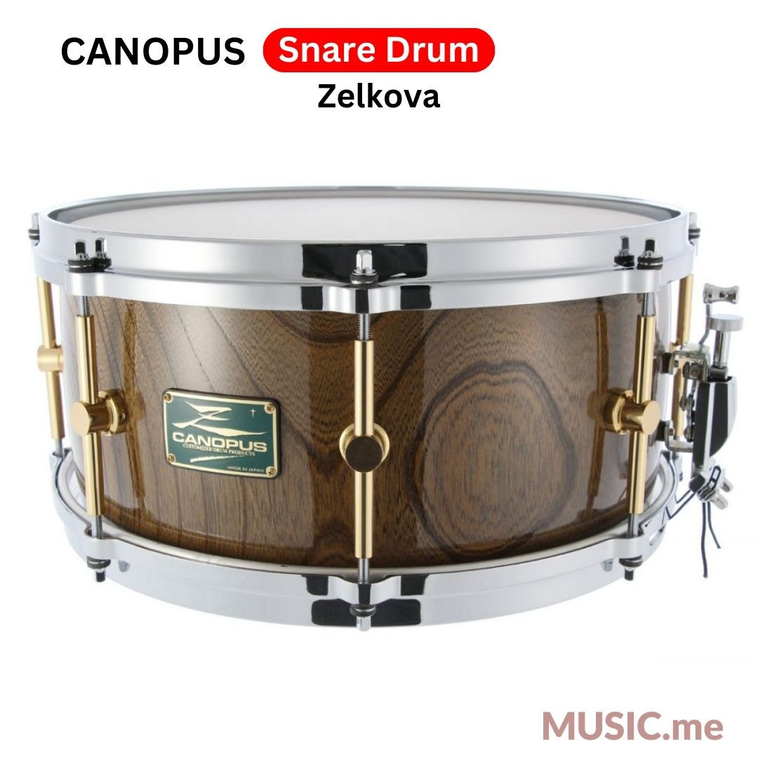 Canopus Zelkova Snare Drum