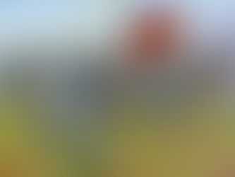 En bit tyg? Uniformens betydelse