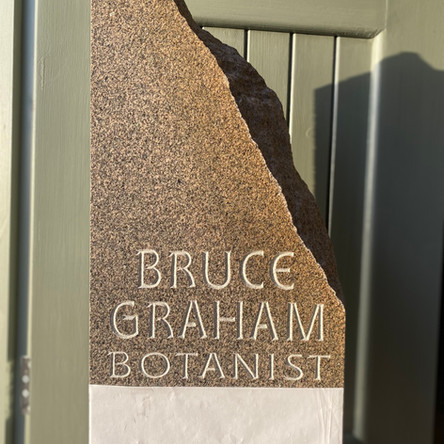 Bruce Graham