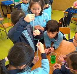 group foto-school3.jpg
