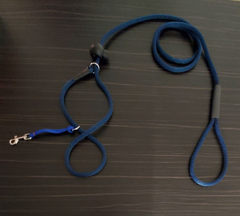 Thumbnail: No-Pull Medium (5/16") 6-ft, Slip Style Training Leash