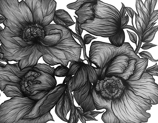 poppies_edited.jpg