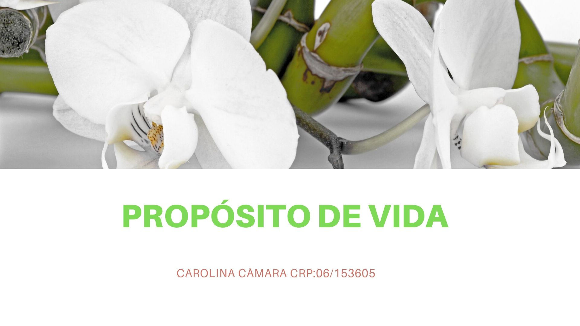 PROPÓSITO DE VIDA