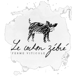cropped-logo-lcz-officiel-2_edited.png