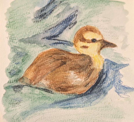 Indiana Duckling.png