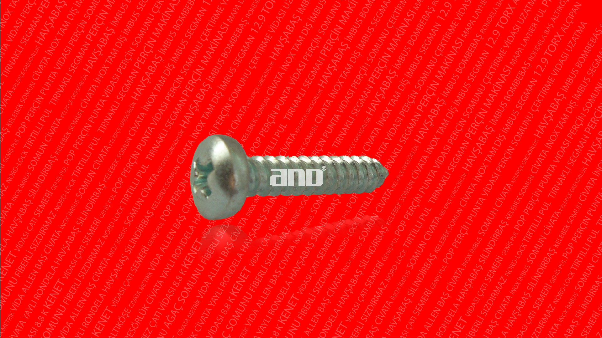 Silindirbaş Sac Vidası