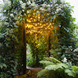 pergola with climbing plants and garden lighting