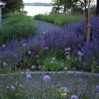 garden design with meadow planting