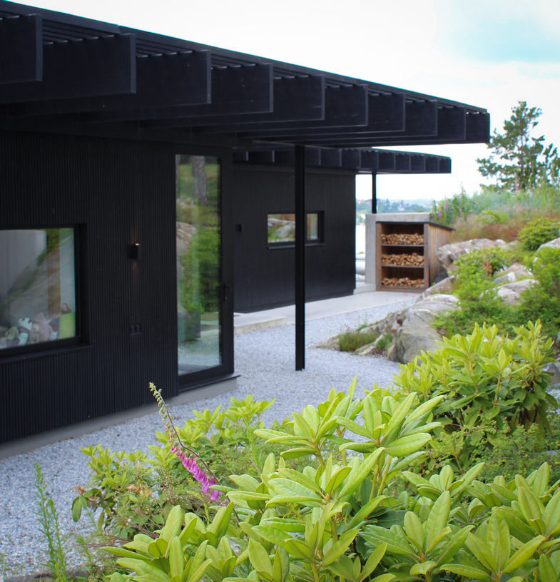 modern garden architecture with evergreen plants