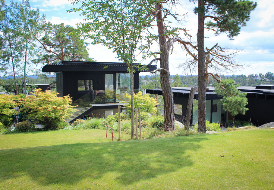 exclusive modern garden design