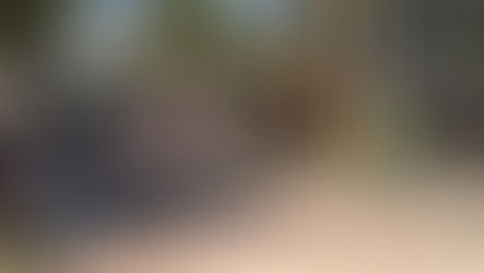 Menos estigma, mayor inclusión y el nuevo modelo comunitario en Aconcagua fue destacado en el Día de