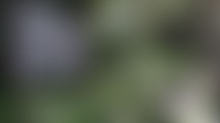 Después de un año y medio cumbre del Parque Nacional La Campana vuelve a estar abierta