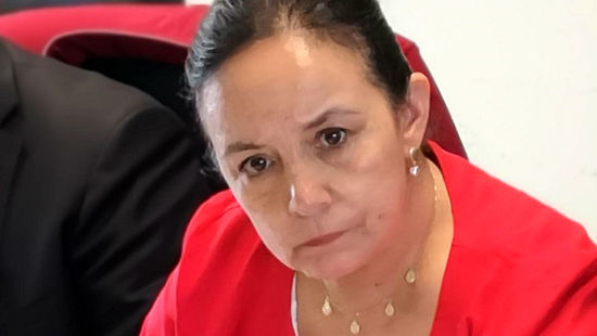 Senadora Aravena pide flexibilidad para que Pymes en Dicom accedan al Plan Covid-19