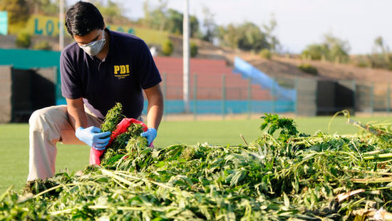 PDI Los Andes incautó cargamento de drogas avaluado en 3.600 millones de pesos