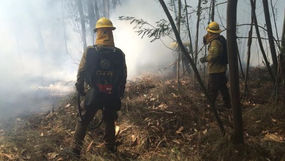 Conaf recluta personal para combatir incendios forestales en provincias de San Felipe y Los Andes