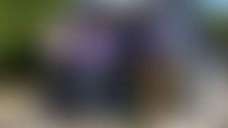 Prodesal Panquehue ejecuta proyecto de parcela demostrativa de forraje hidropónico