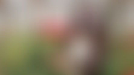 Indap abre concurso para fortalecer organizaciones campesinas de la Región de Valparaíso