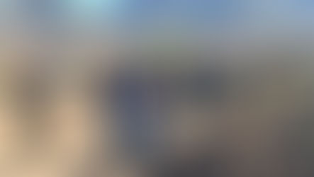 Municipio de Putaendo notifica a Consejo de Monumentos Nacionales daño a petroglifos