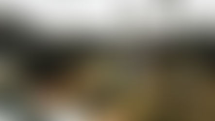 “Los videojuegos construyen una mentalidad racista”