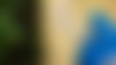 Esval invita a organizaciones a participar de su Fondo Concursable en última semana de postulación