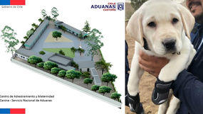 Aduanas recibe terreno de Bienes Nacionales para construir el Centro de Entrenamiento y Maternidad C