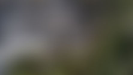 Continúa combate de incendio forestal que mantiene con alerta roja a San Felipe