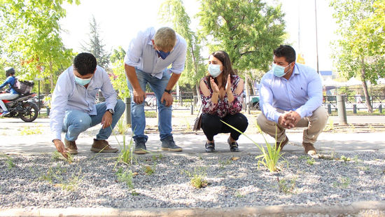 Municipalidad de Providencia apoya al Hospital Dr. Philippe Pinel en la creación de áreas verdes