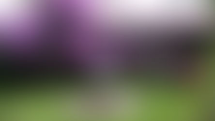 Rinconada ya cuenta con Casa de la Cultura