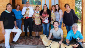 Municipio realizará 500 esterilizaciones gratuitas para mascotas en diferentes sectores de Putaendo