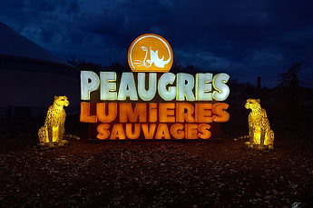 Peaugres nuit 1. web.jpg